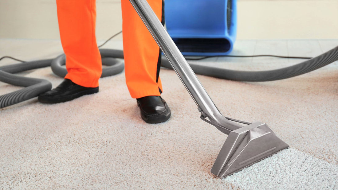 Local rug cleaners in burpengary