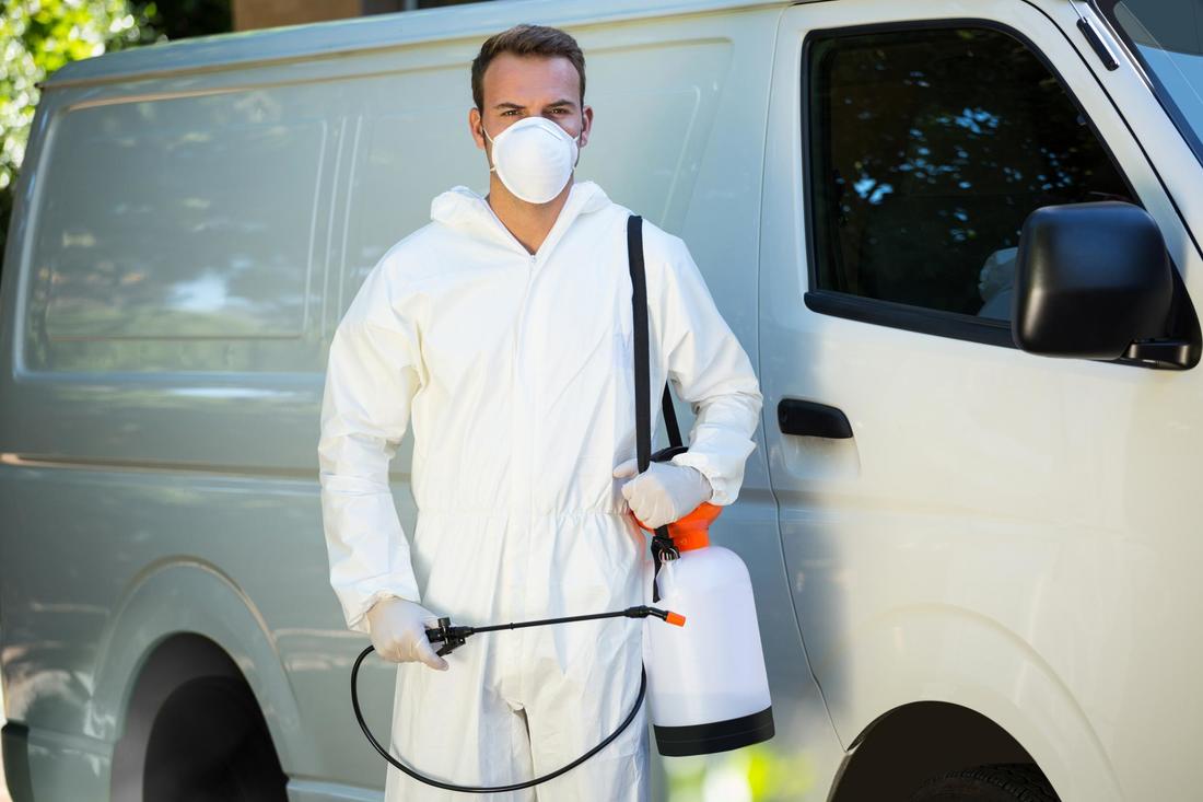 Burpengary Pest control services 